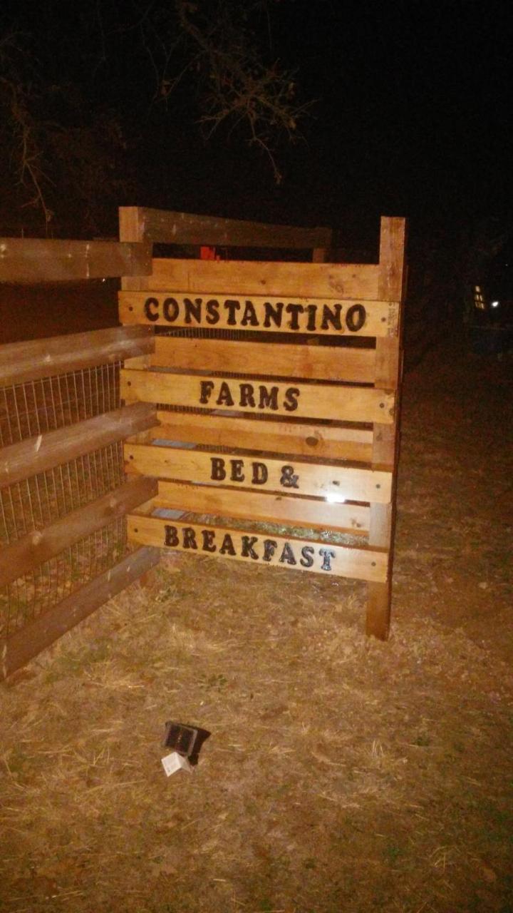 Ferienwohnung Constantino Farms Dublin Exterior foto